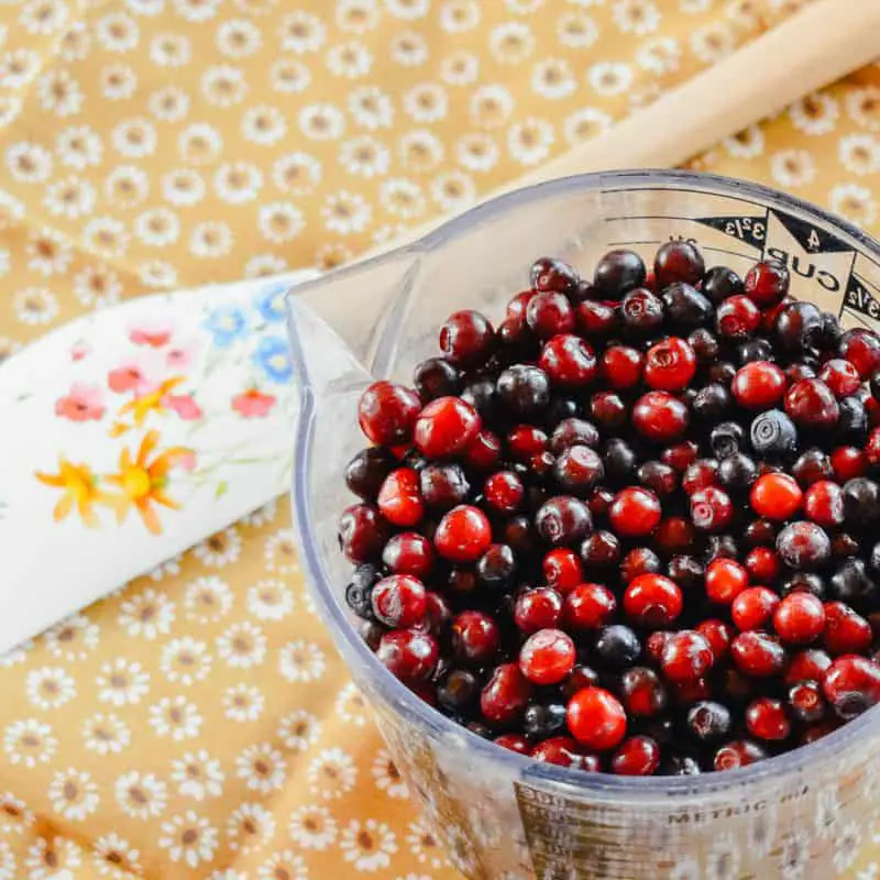 Top 10 Huckleberry Recipes