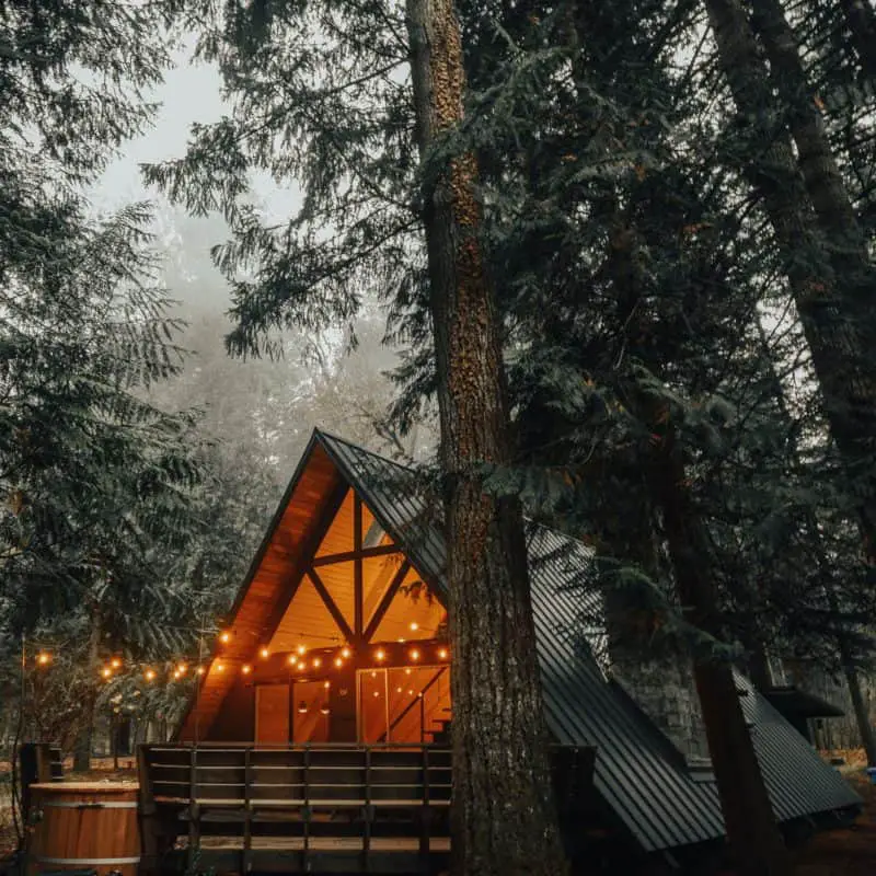 Little Owl Cabin: The Big Success of a Little Cabin in The PNW