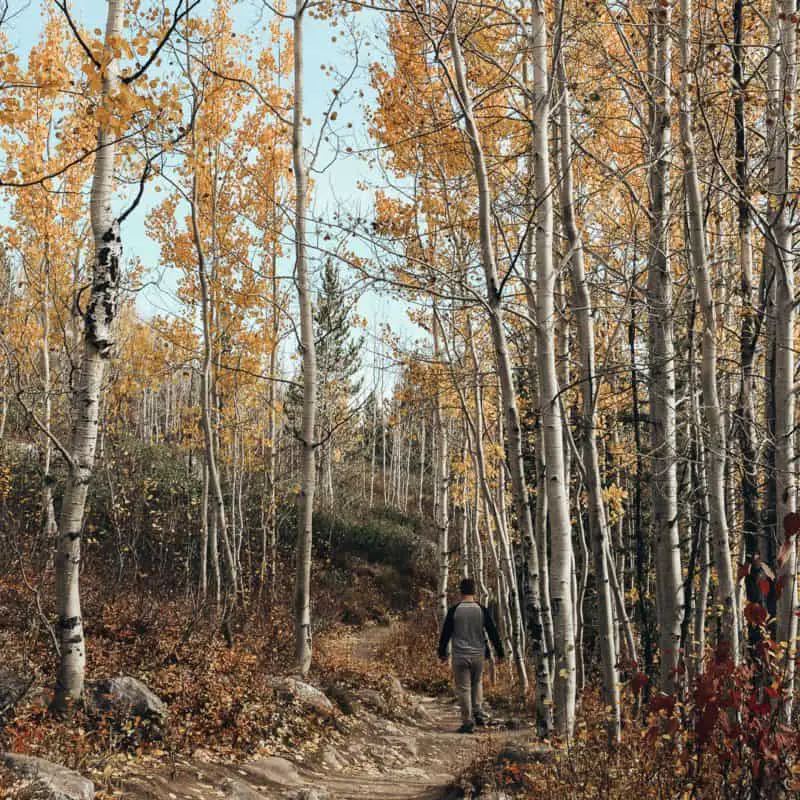 Hike the Tetons: What to Wear for Hiking Fall 2018