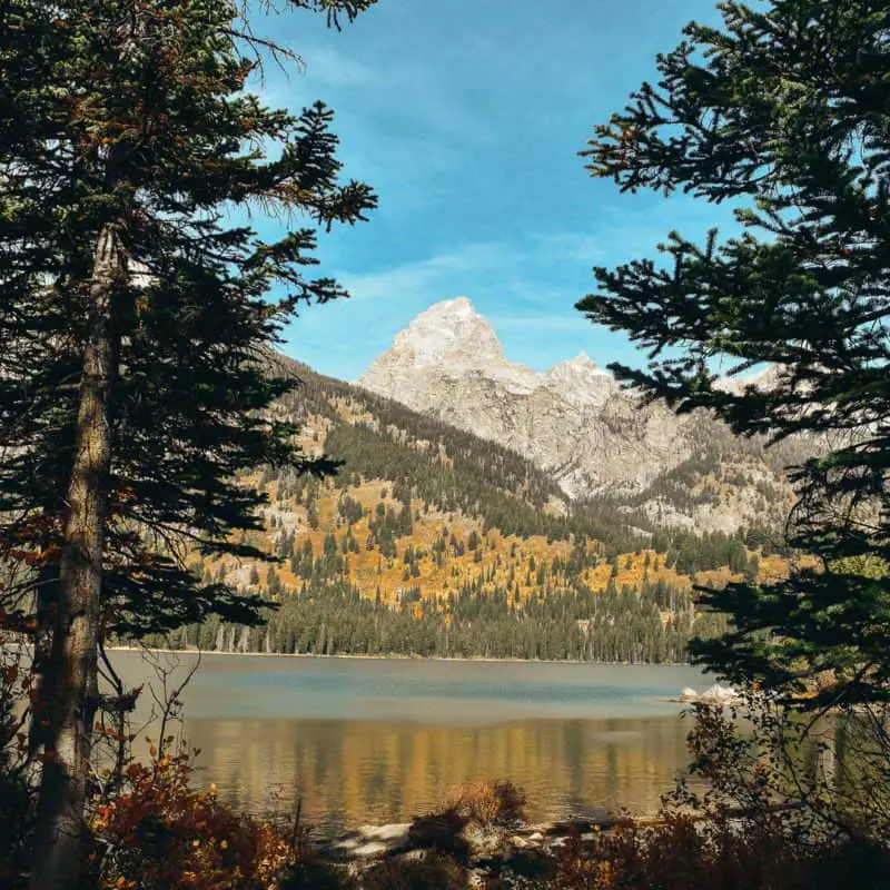 6 Most Popular Things to Do in Jackson Hole in September