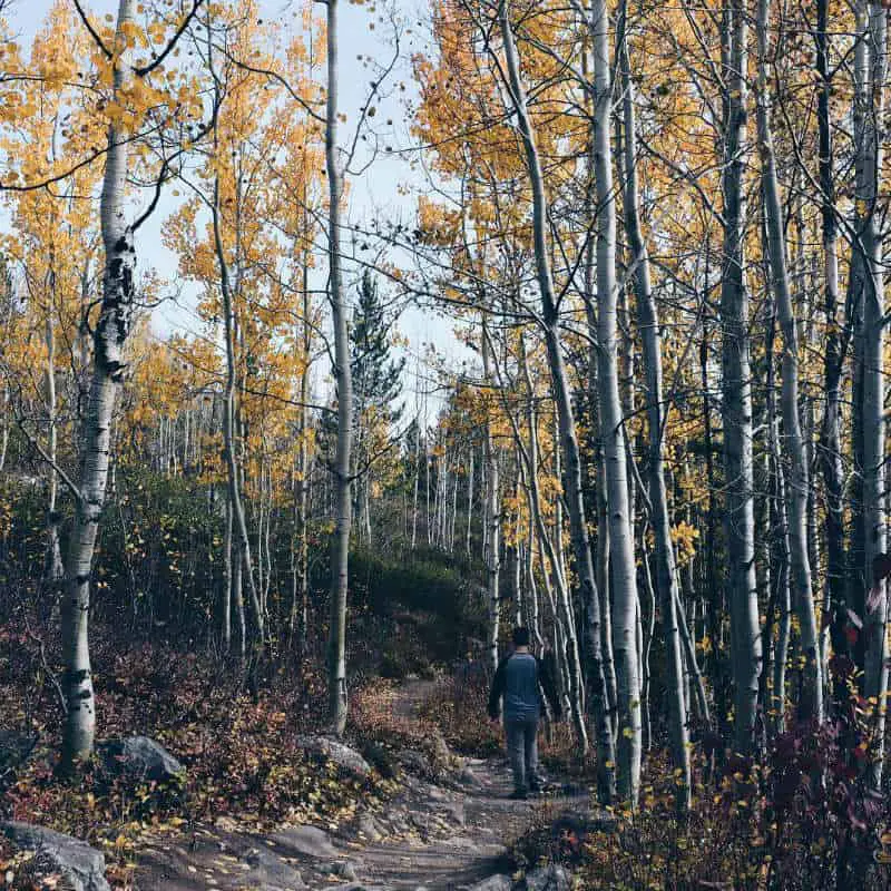 Hike the Tetons: What to Wear for Hiking Fall 2018