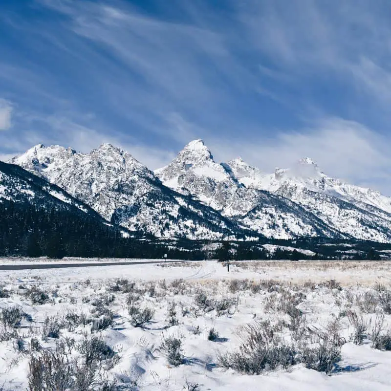 5 Things Not To Miss in Jackson Hole January 2019 (From a Local’s Perspective)