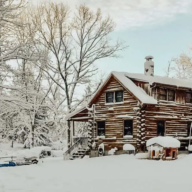 The Log Homestead: an Unlikely Cabin Dream Come True
