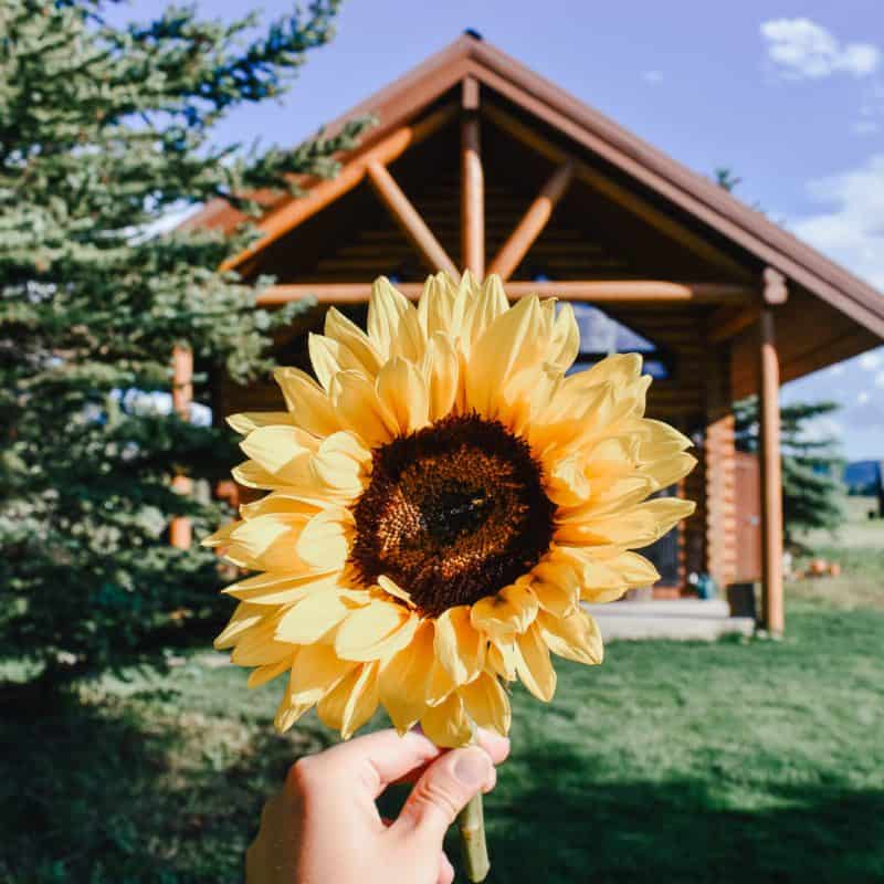 Popular Questions & Answers About Cabin Living