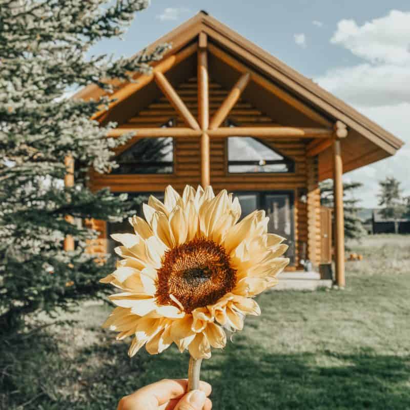 Popular Questions & Answers About Cabin Living