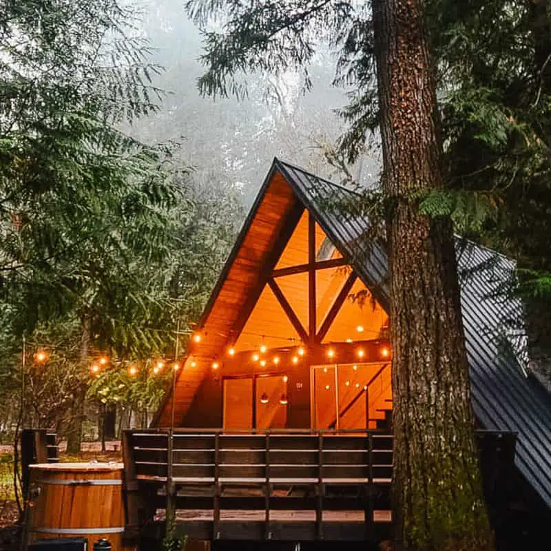 Little Owl Cabin: The Big Success of a Little Cabin in The PNW