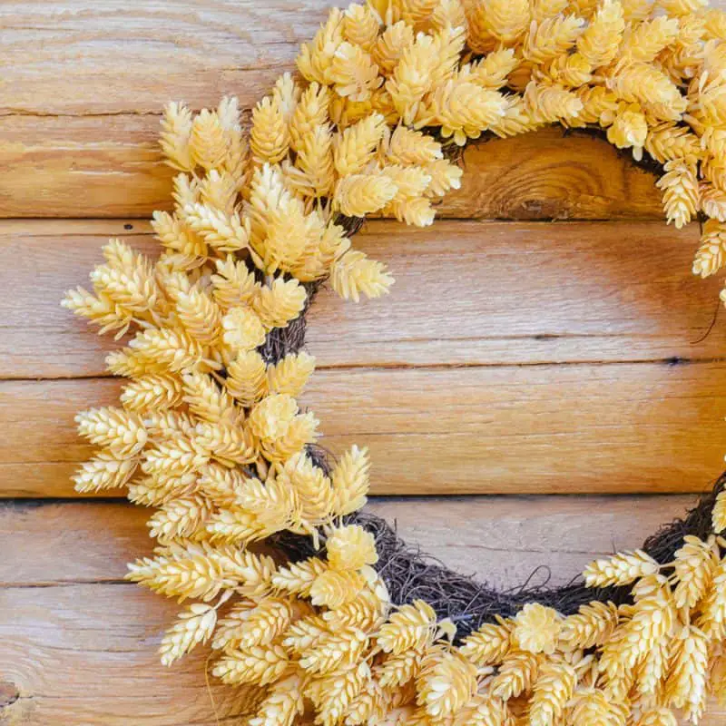 On Trend Farmhouse Front Door Fall Wreaths 2019