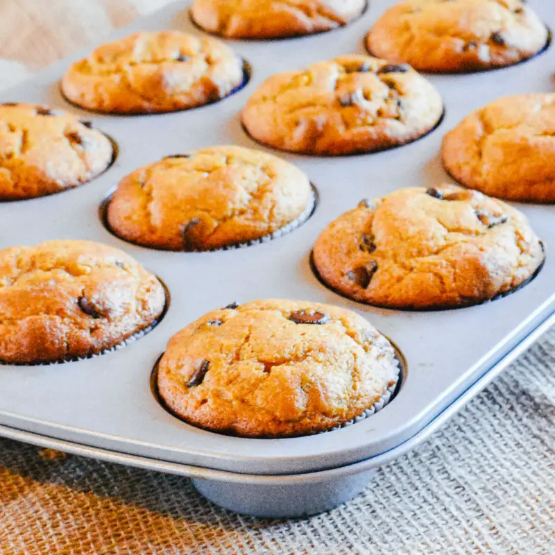 Pumpkin Chocolate Chip Muffins Recipe