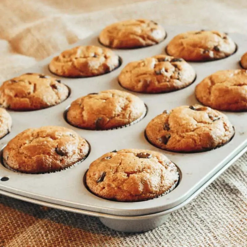 Pumpkin Chocolate Chip Muffins Recipe