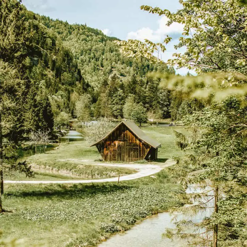 The 3 Best Cabin Building Books