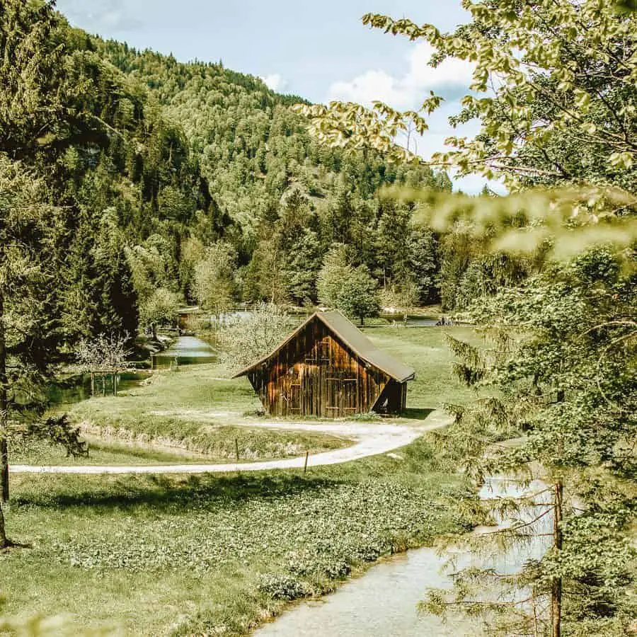 The 3 Best Cabin Building Books