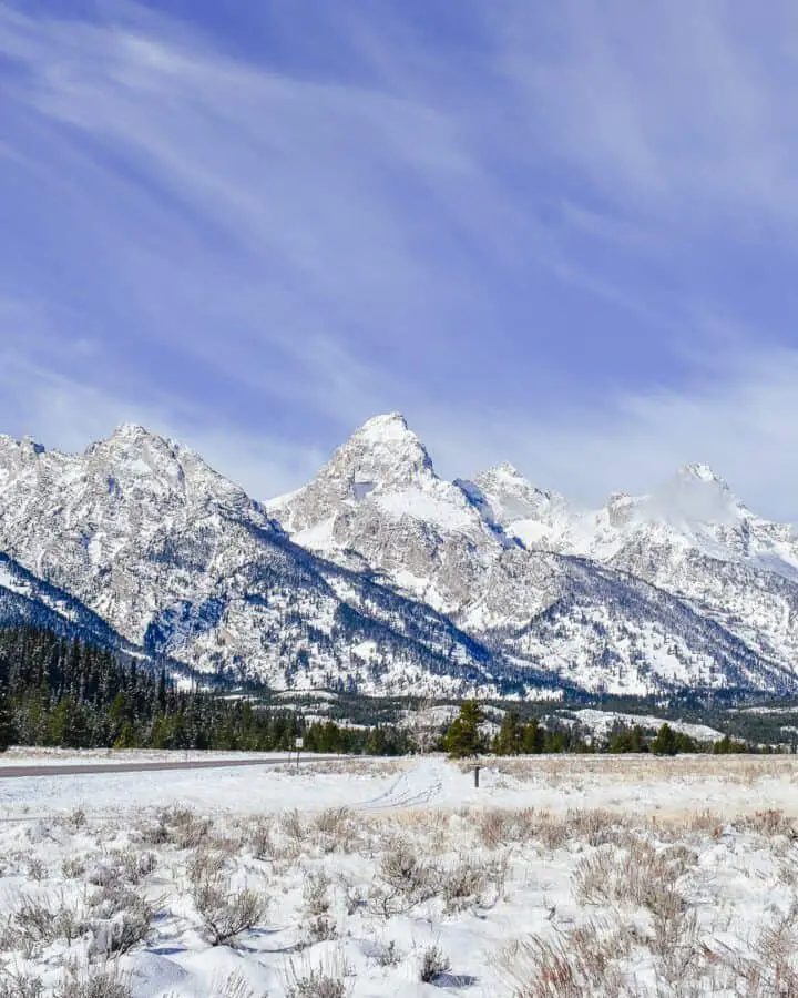 jackson hole in january
