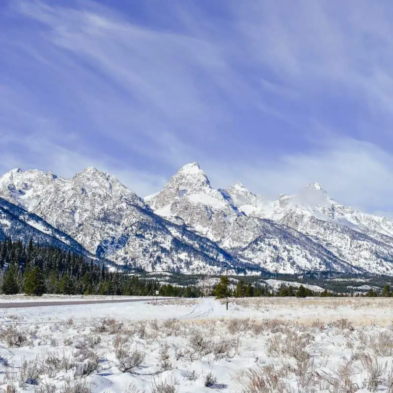 5 Things Not To Miss in Jackson Hole January 2019 (From a Local’s Perspective)