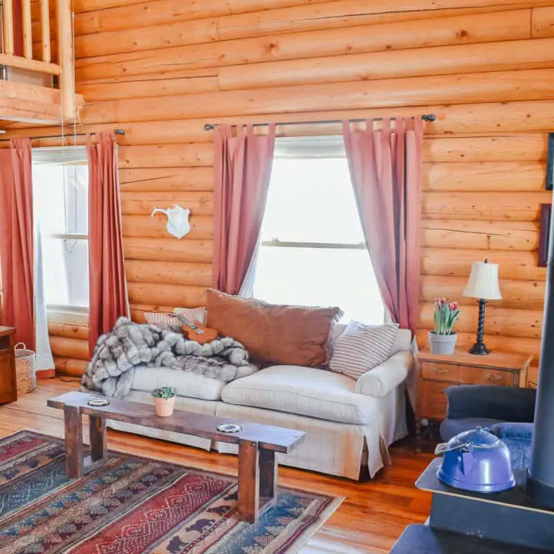 This Week at the Cabin: Spring is Here