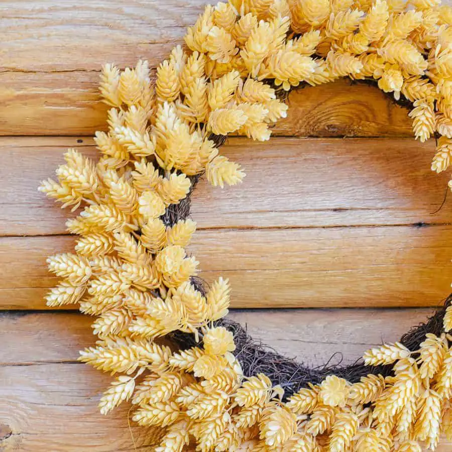 On Trend Farmhouse Front Door Fall Wreaths 2019