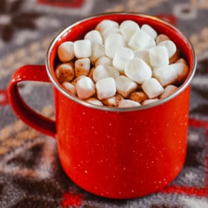 slow cooker hot chocolate