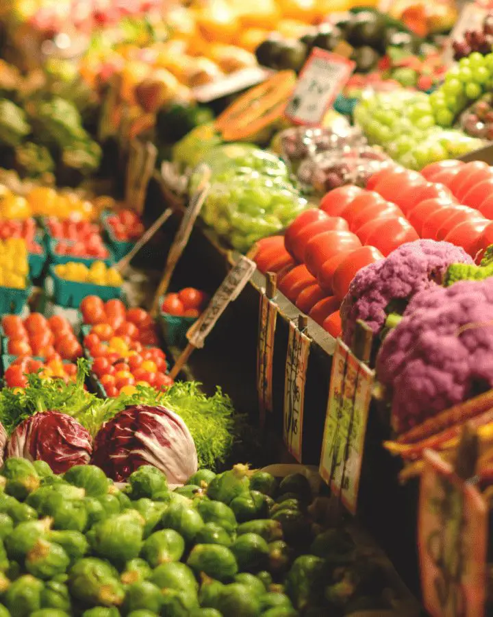 what does plant based mean