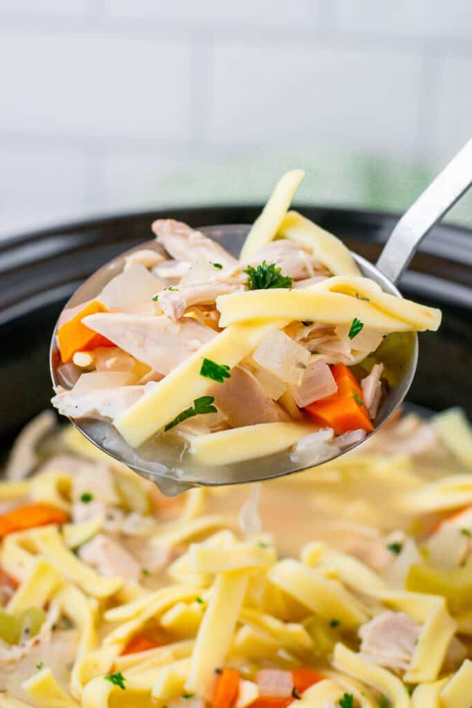 easy crockpot chicken noodle soup