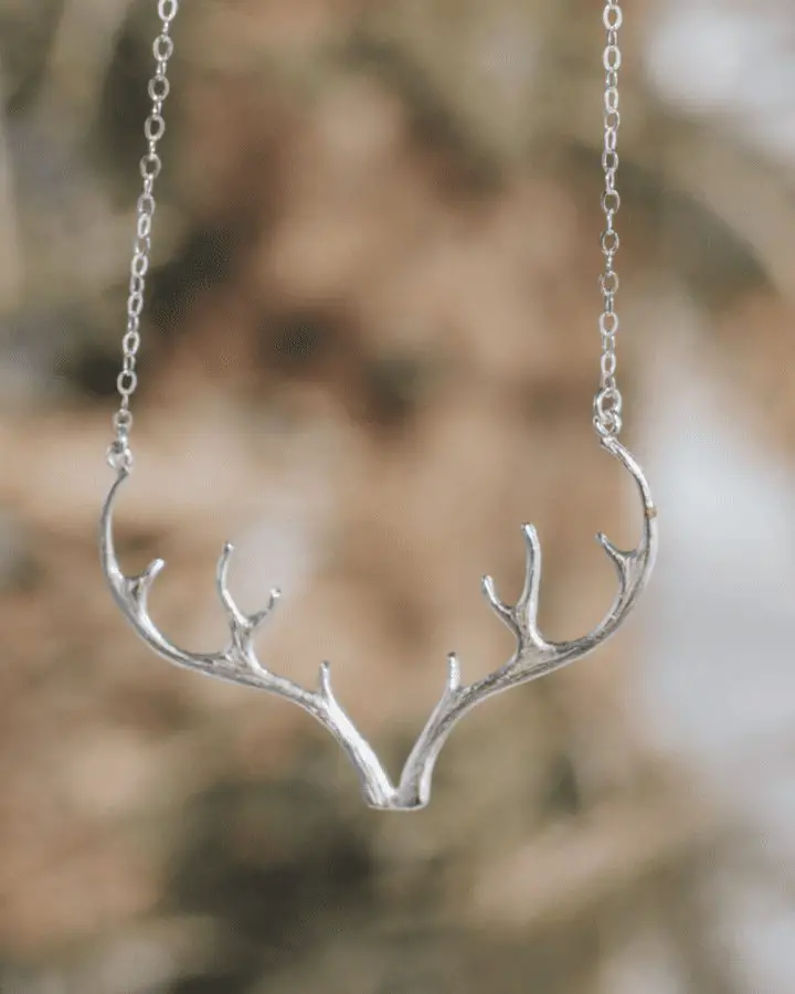 jackson hole gift guide