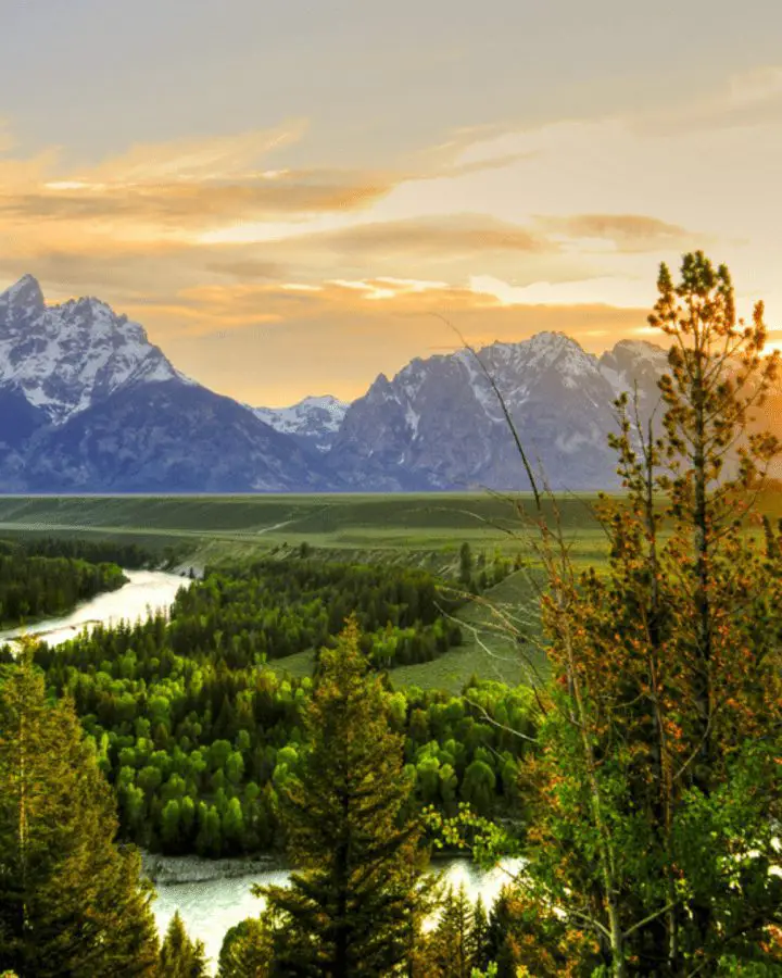 jackson hole to yellowstone
