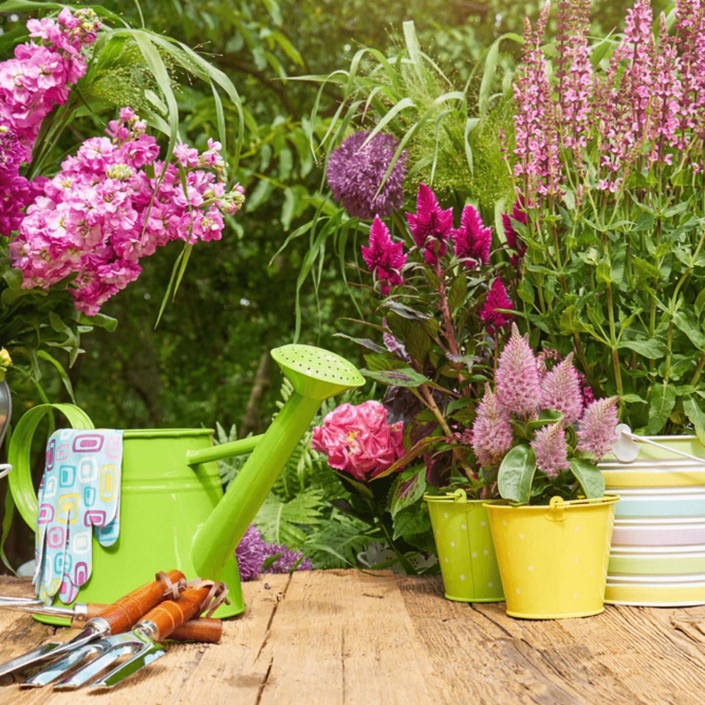 spring garden